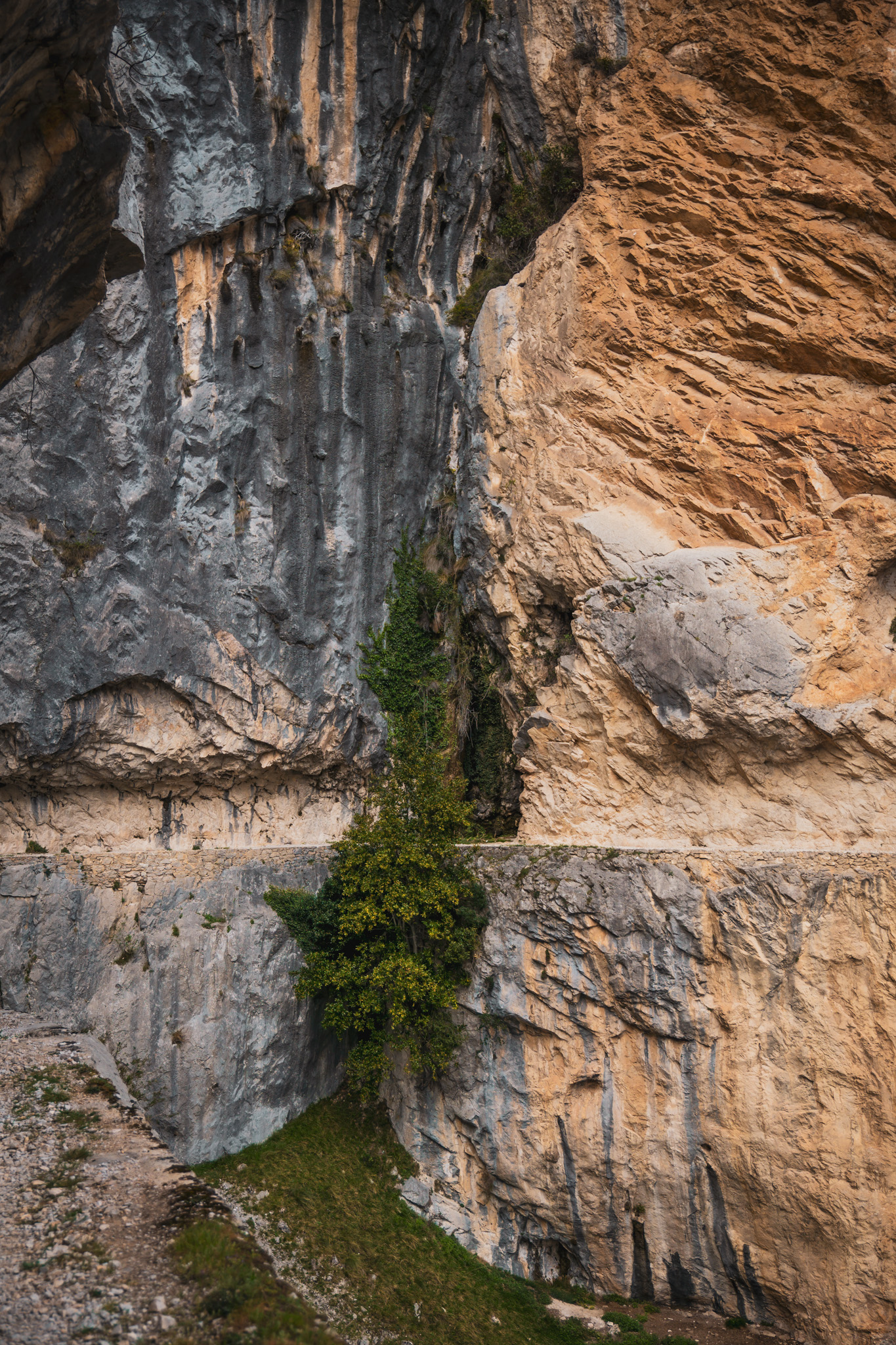 Picos de Europa photo 21